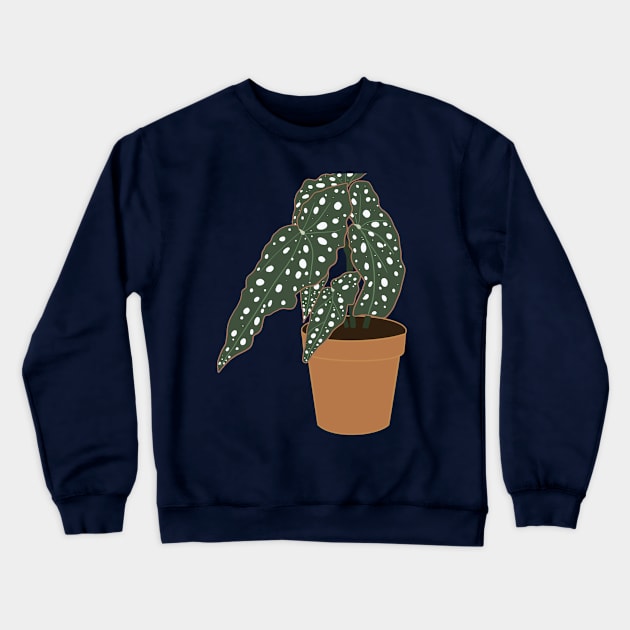 Begonia Maculata Plant – Clay Pot Crewneck Sweatshirt by Raquel’s Room